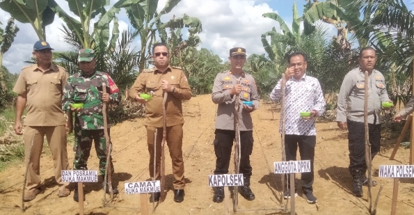 Polsek Seunagan Tanam Jagung Serentak